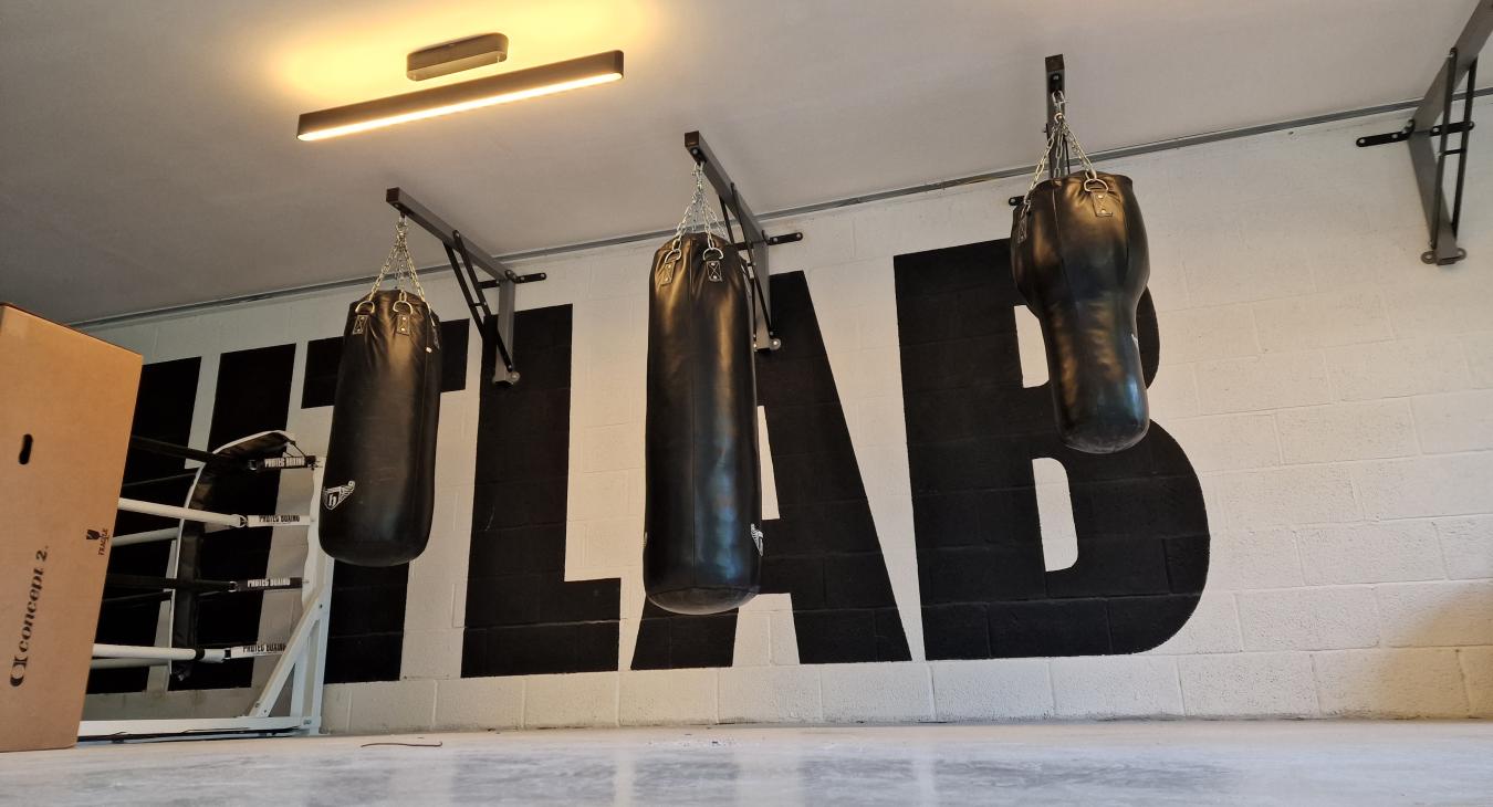 Lighting over punch bags